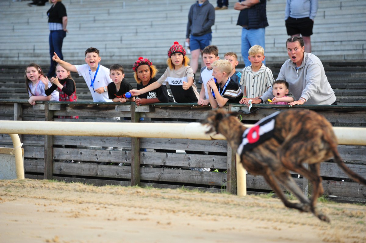 Newcastle Greyhound Stadium (@newcastledogs) on Twitter photo ๐จ HALF AN HOUR until the <a href="/Time_Nutrition_/">Time Greyhound Nutrition</a> Northern Flat ๐จ
On an excitement level, we're all the young chap third from the left aren't we.. ๐คฃ
#NewcastleDogs ๐พ ๐จ HALF AN HOUR until the <a href="/Time_Nutrition_/">Time Greyhound Nutrition</a> Northern Flat ๐จ
On an excitement level, we're all the young chap third from the left aren't we.. ๐คฃ
#NewcastleDogs ๐พ