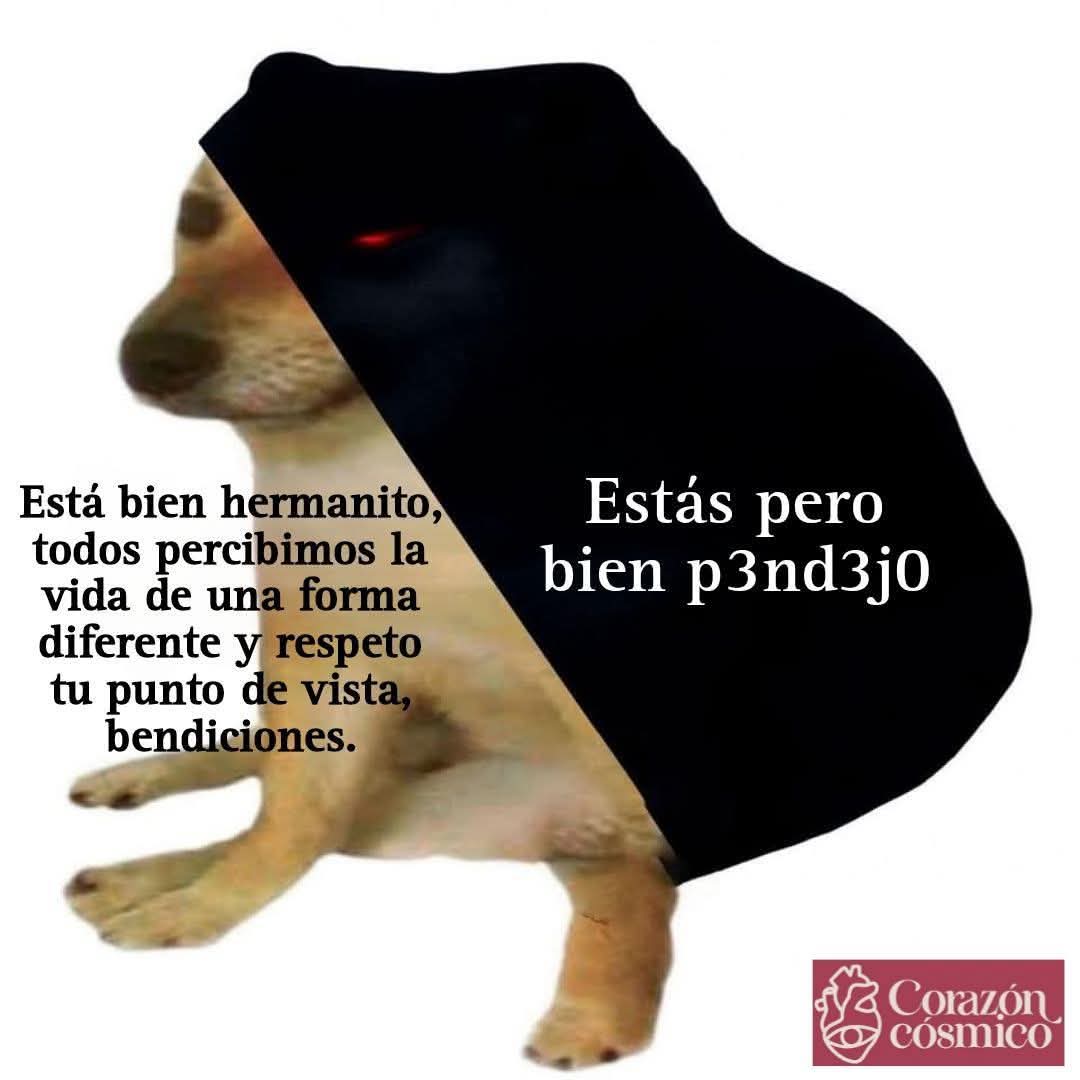 nxstypxet's tweet photo. https://t.co/eu5E6x7vRt