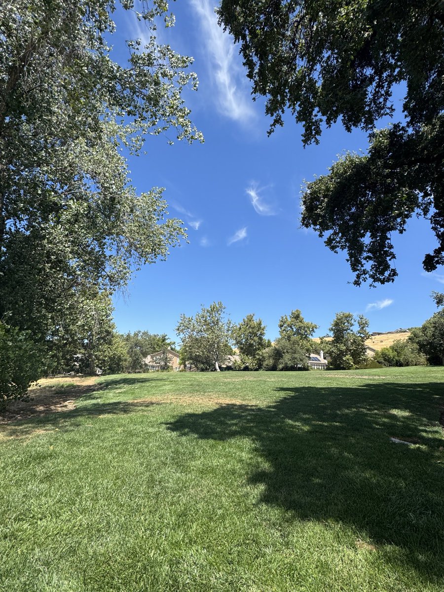 daaazeee's tweet photo. Unfourtnatly shady nappable tree knolls were invented by Big Spider ™️ https://t.co/aYU29mujGV