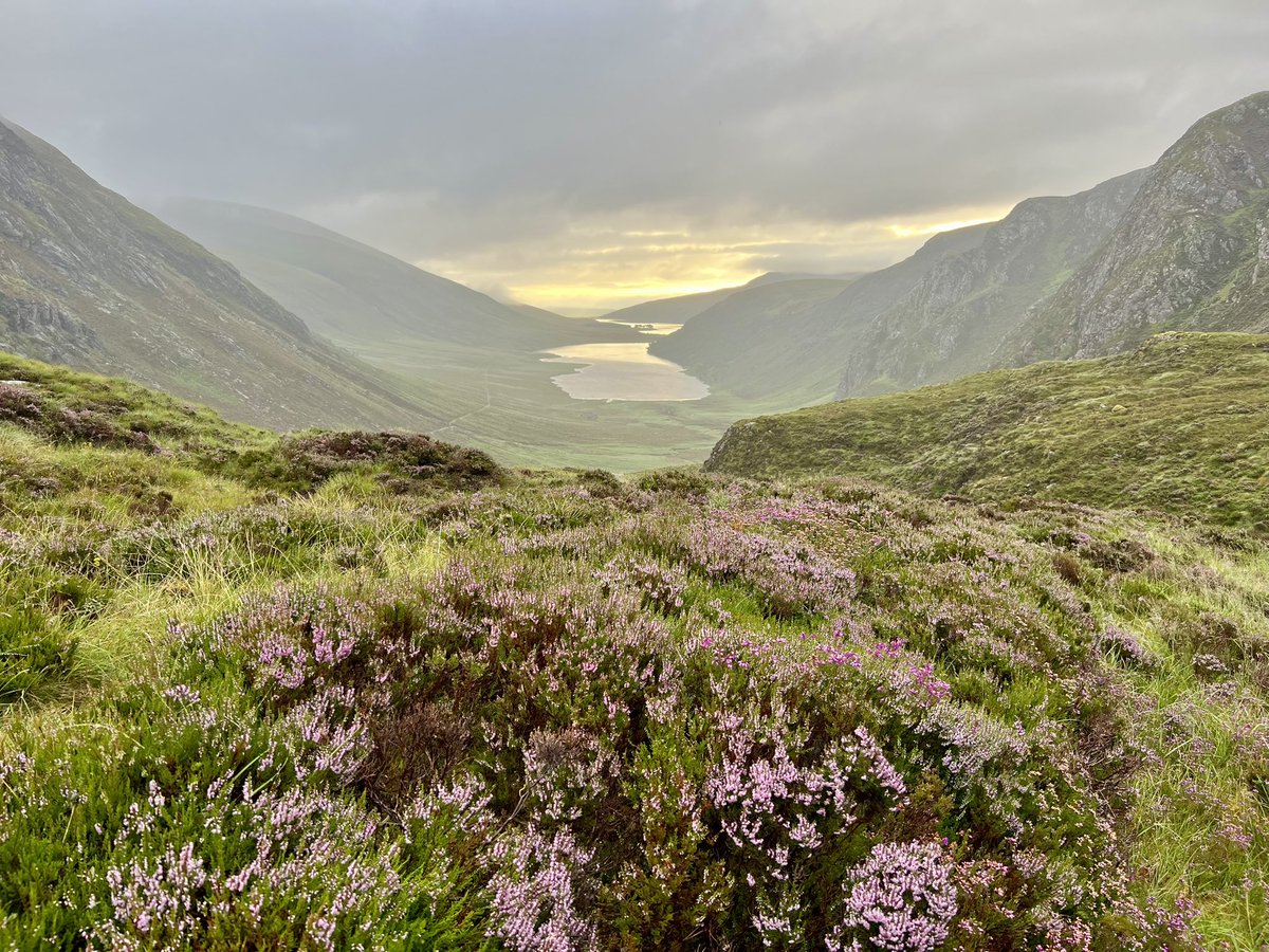 LifeAfloat's tweet image. Beautiful Loch Choire today. Wonderful wildness.
