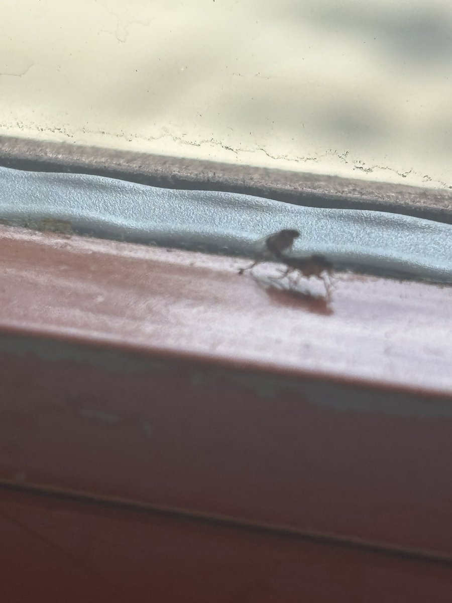 DlowVic's tweet image. Everywhere I look I think of her. #insex #DinnerAndAShow