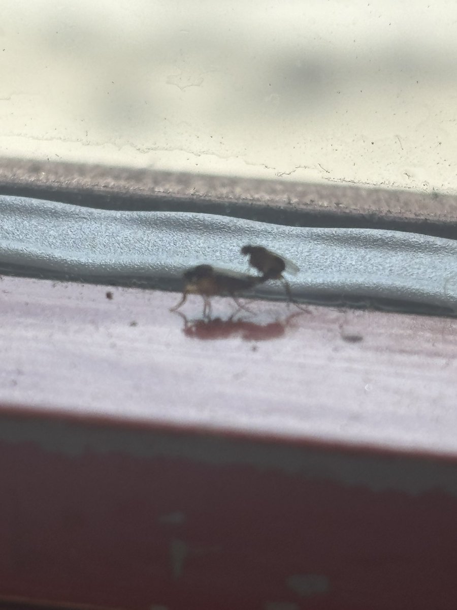 DlowVic's tweet image. Everywhere I look I think of her. #insex #DinnerAndAShow