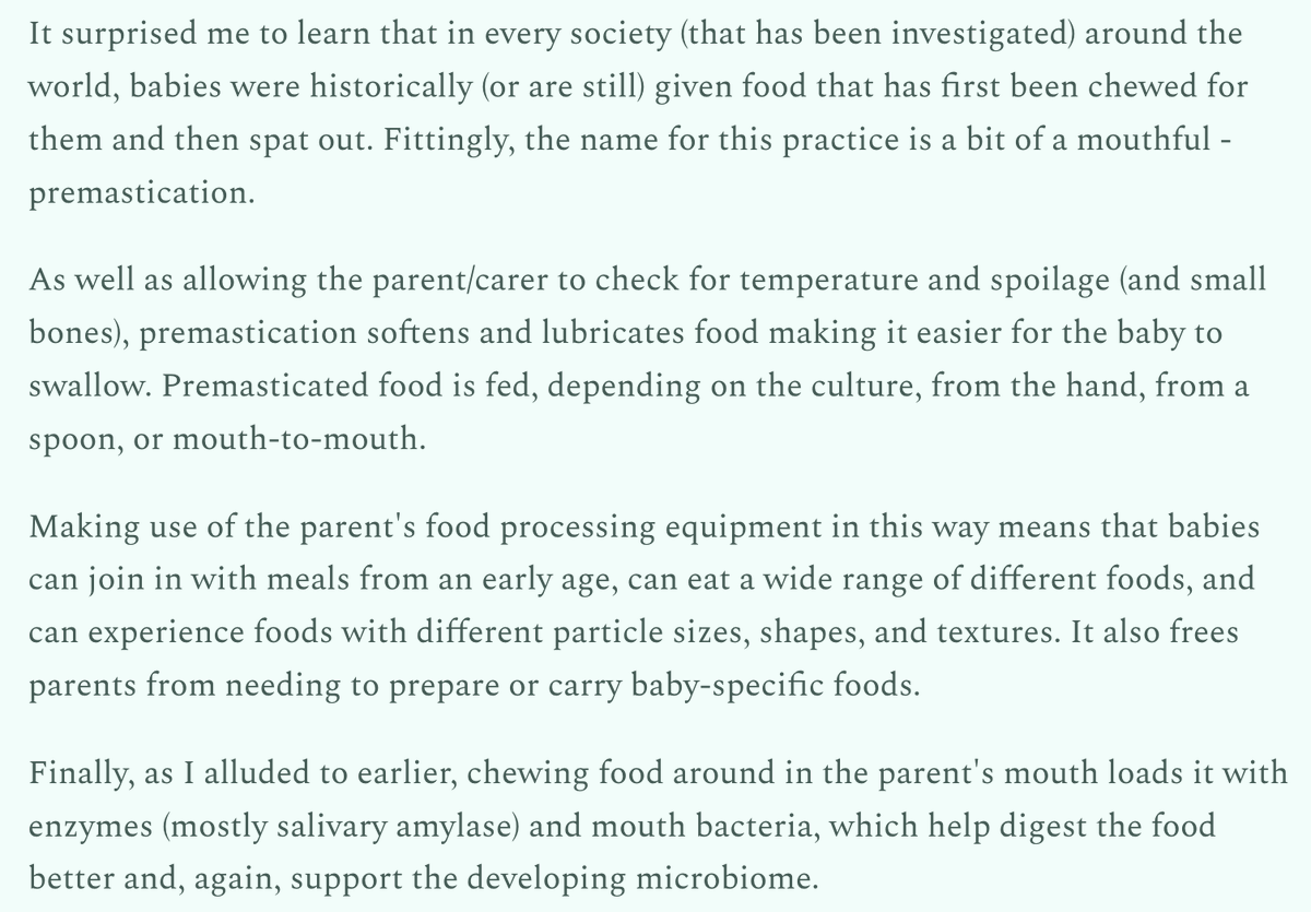 robkhenderson's tweet photo. "in every society (that has been investigated) around the world, babies were historically (or are still) given food that has first been chewed for them and then spat out. Fittingly, the name for this practice is a bit of a mouthful - premastication." https://t.co/8M6aIl9g04