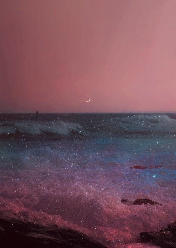 New moon, new beginnings —