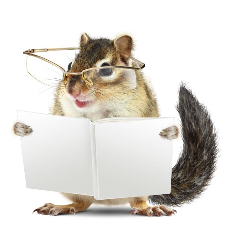 rengoescray's tweet image. reading the nutrition facts knowing full well im binging on ts for the next week