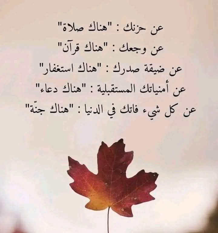 من لم يشرب من بحر التجارب 
سيـــموت عطشاً في صحراء الحياة
فالحياة مجموعة من الإنتصارات والهـــــزائم 
    الصـــــحة والمــــرض 
    الفقــ..ــر والغنى
    الإحتياج والإستــــــغناء
     القرب والبعد 
 ولكن يظَل الرضا هو سيّد الاشياء كله....