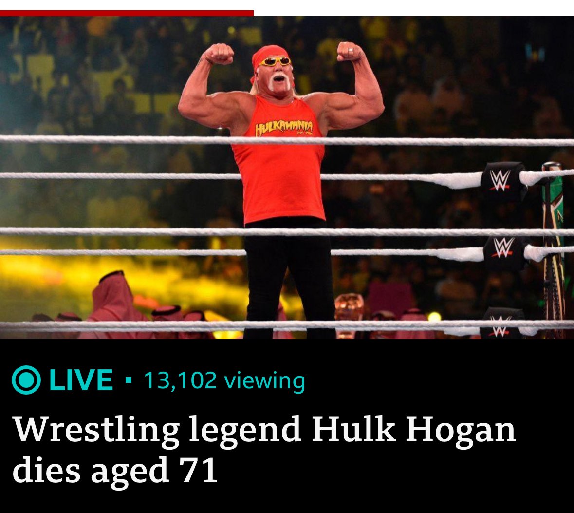 testcap269's tweet image. Thank you, Hulk Hogan, for making our childhood unforgettable. #hulkhogan