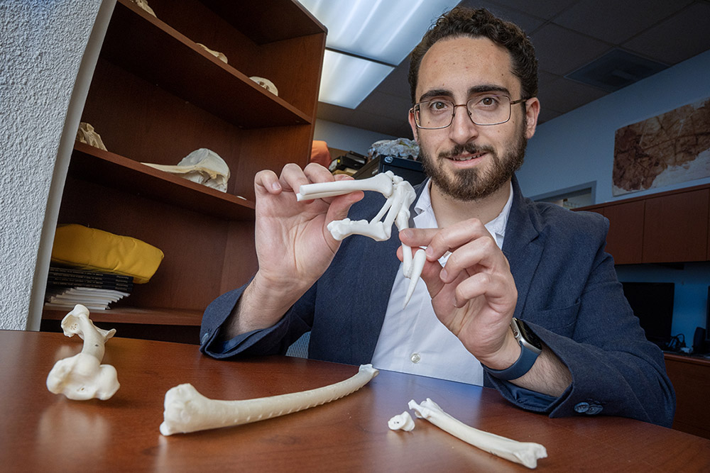 SBM_EVP's tweet image. Dr. James Napoli and a team of researchers at @stonybrooku's Renaissance School of Medicine made a discovery that could reshape how we understand the evolution of #flight, and it may all come down to the wrist. bit.ly/3GQ57kQ #SBexperts