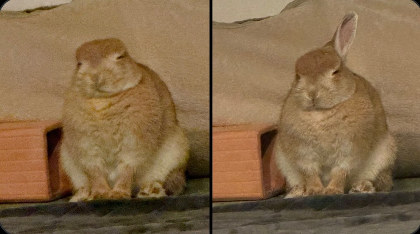 MintyK_'s tweet image. me when a server i mostly lurk in mentions me or my bot