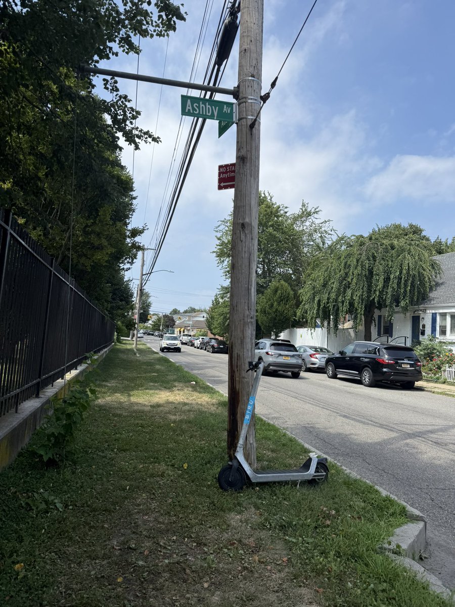 QueensCrapper's tweet image. Fauxgressives don’t make a stink about lack of sidewalks, so long as private corporations can litter the public realm with micromobility machines.