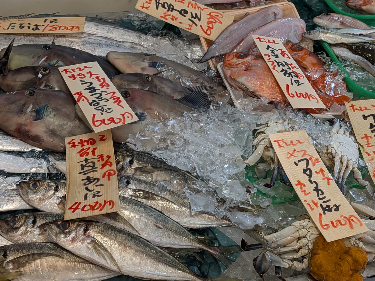 uokeioarai's tweet image. おはようございます、魚結です✨
今日のおすすめでは、大洗産特大ウマヅラハギ(約35cm)一尾600円‼️
お刺身、フライ、煮付け等で大変美味しい地魚です🐟
(お電話でのご注文承っております。)
(7月26.27日は、
臨時休業とさせて頂きます。)
よろしくお願い致します🙇
#ウマヅラハギ #大洗