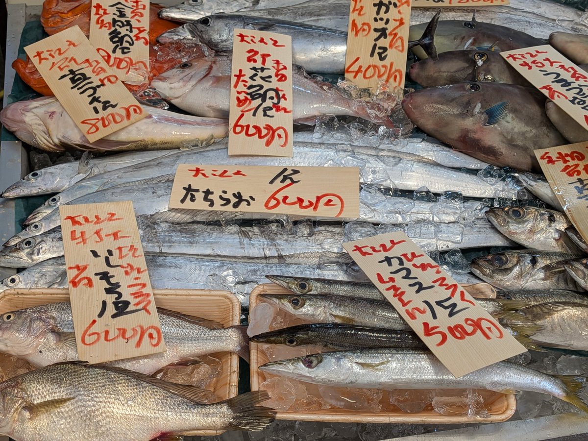 uokeioarai's tweet image. おはようございます、魚結です✨
今日のおすすめでは、大洗産特大ウマヅラハギ(約35cm)一尾600円‼️
お刺身、フライ、煮付け等で大変美味しい地魚です🐟
(お電話でのご注文承っております。)
(7月26.27日は、
臨時休業とさせて頂きます。)
よろしくお願い致します🙇
#ウマヅラハギ #大洗