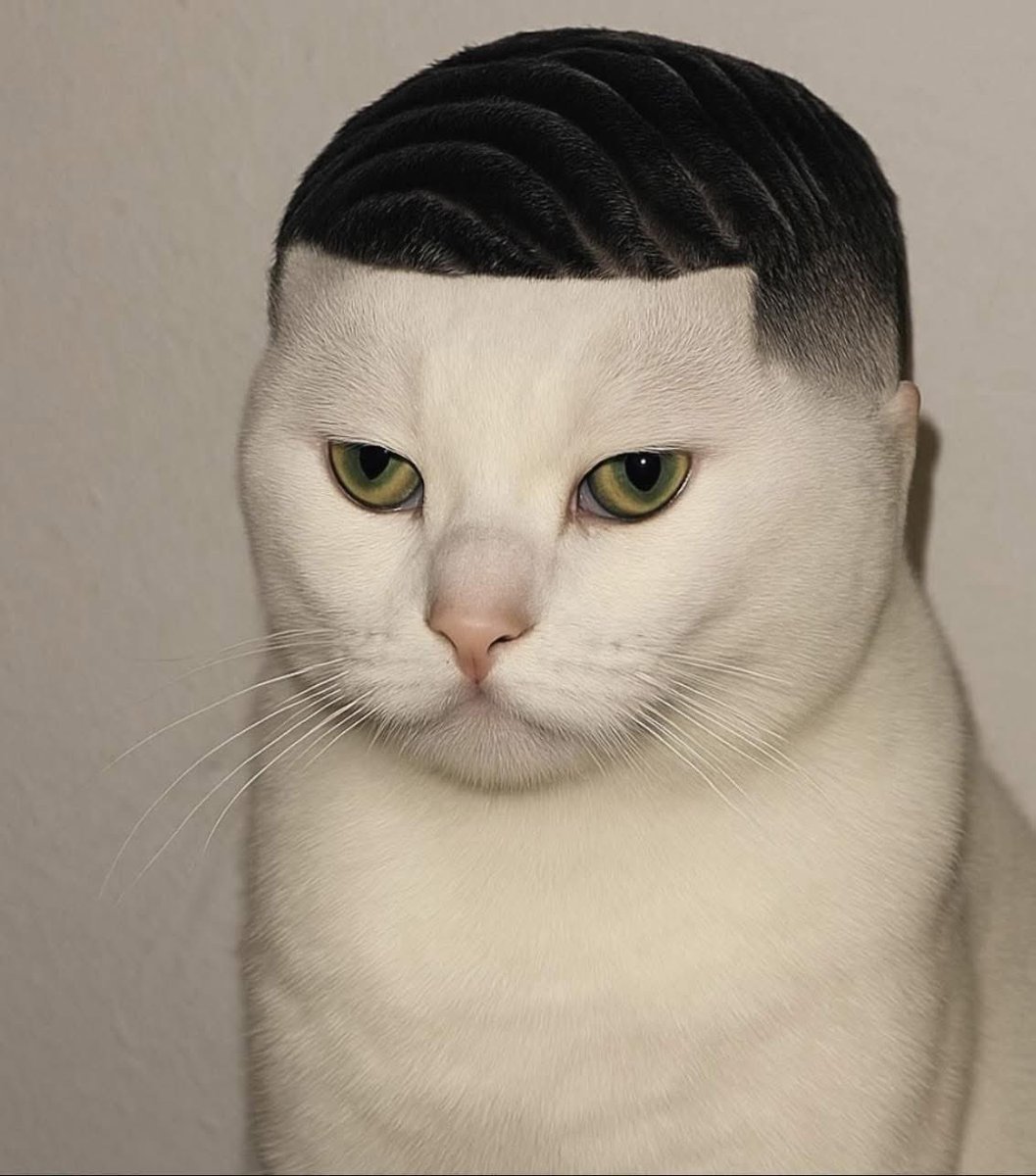 Hulk Hogan died. Dammit god you took the wrong racist white man with fucked up hair.