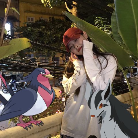 idalsomon's tweet image. mightyena is shy to take pictures