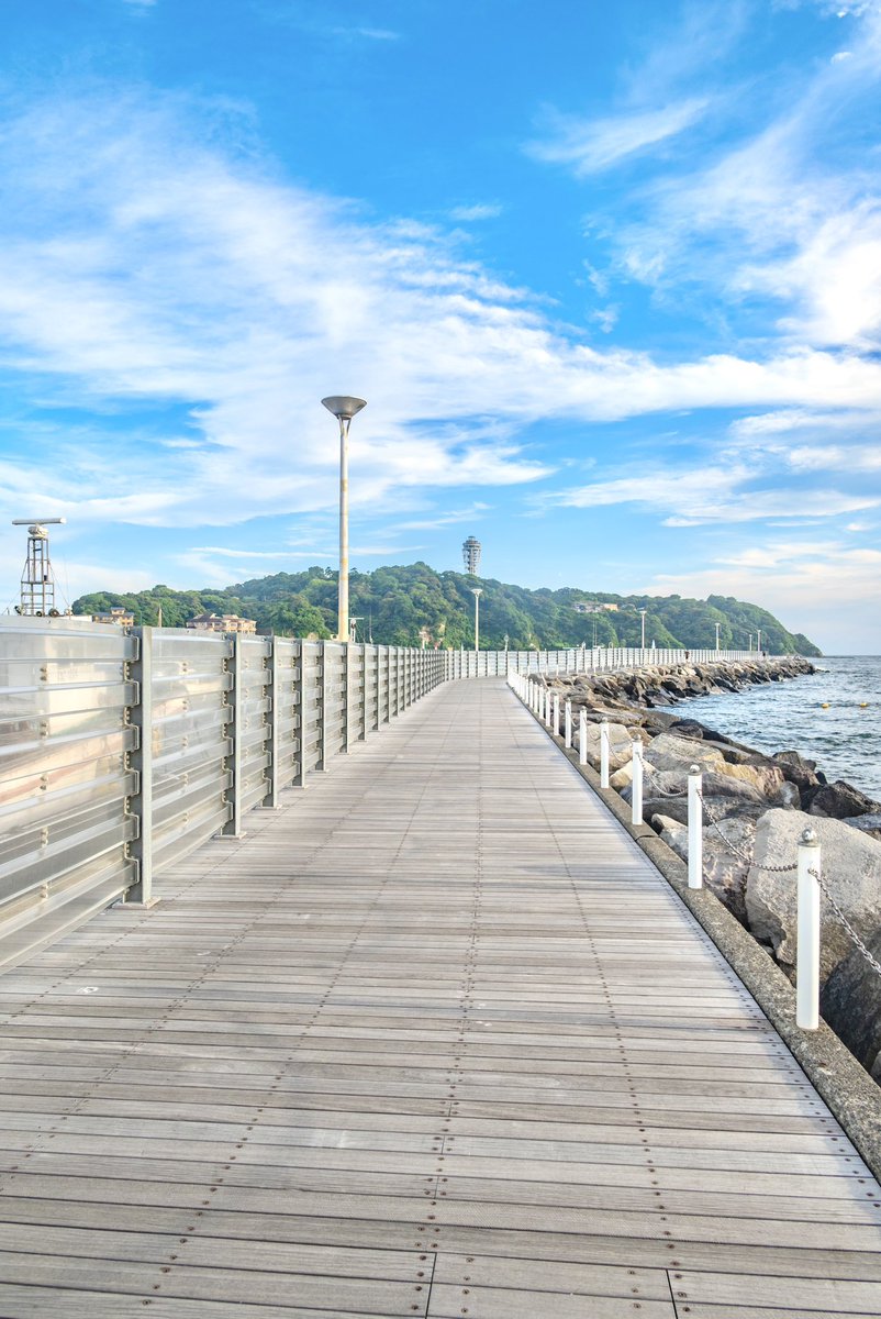 ワクワクする道を進むよ。