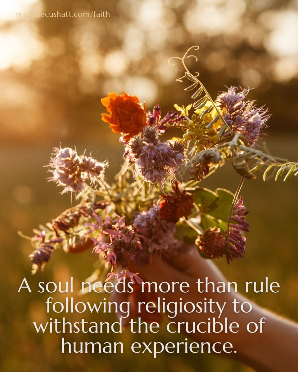 A soul needs more than rule following religiosity to withstand the crucible of human experience.

amzn.to/3YXDmud
#afaiththatwillnotfail #michelecushatt #soulcare