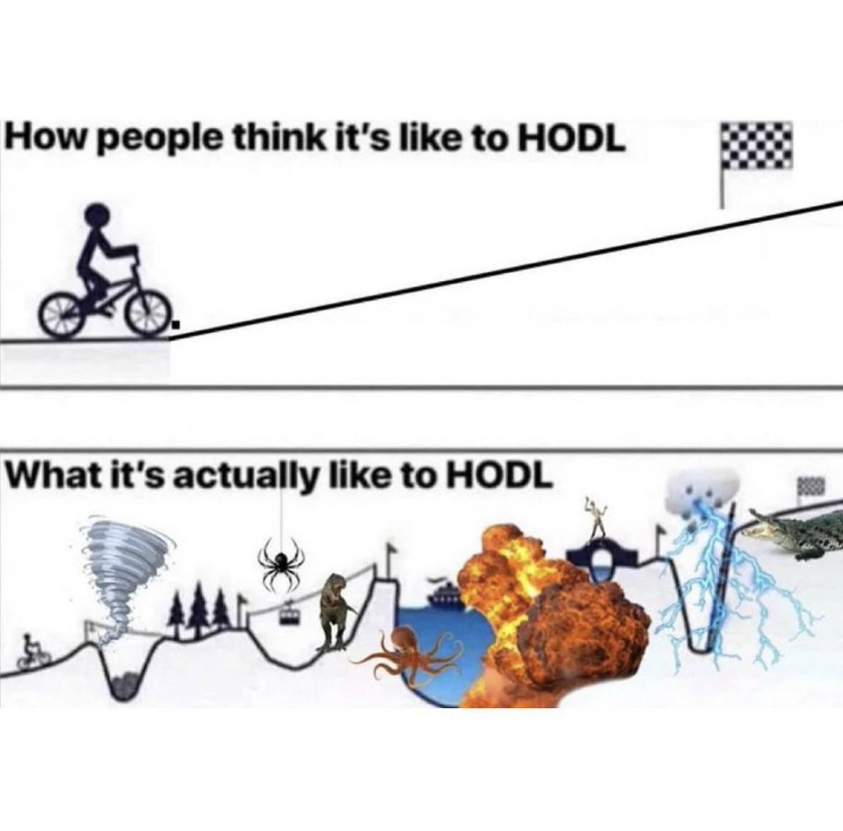 HODL To Win Big.