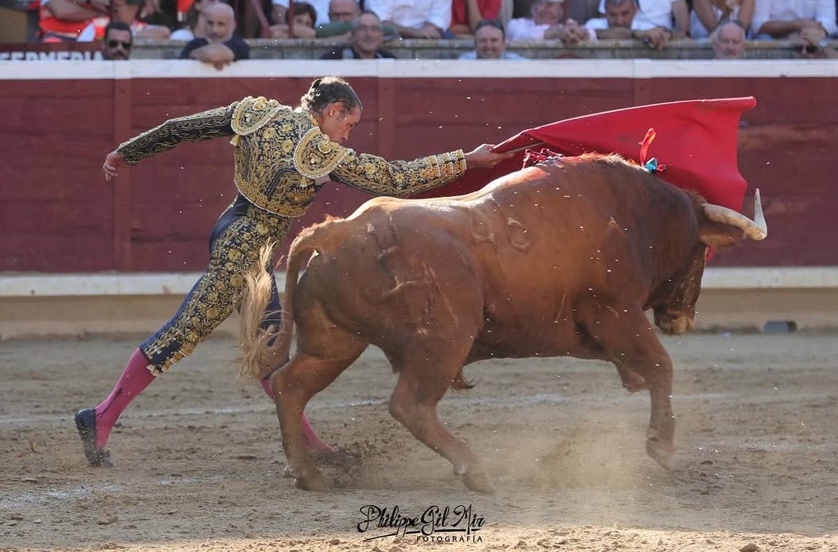 El año pasado <a href="/sanchezvaraj/">Javier Sánchez Vara</a> hizo una gesta histórica en Tafalla muriéndose en solitario a 6 toros de Reta de Casta Navarra. Me atrevería a decir que algo impensable para cualquier otro torero.

Un año después, se lo agradecen de esta manera: no estando anunciado en su feria