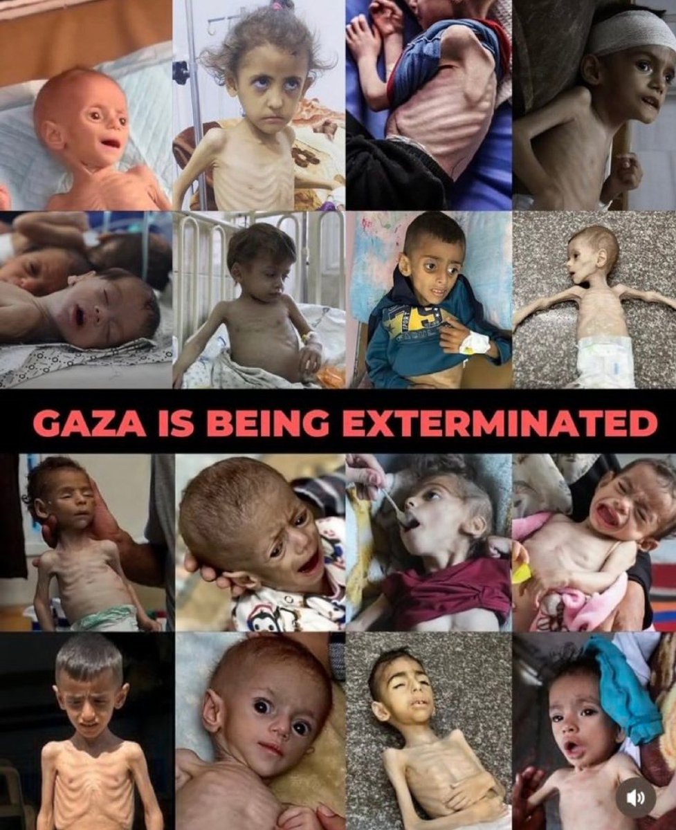 جوع ووجع  وجياع و تجويع  ابادة جماعية لسكان غزة امام أنظار العالم المتحضر
اين الضمير الإنساني اين نعيش نحن في هذا الكوكب
الا يوجد ضمير"حي يتحرك لإيقاف هذه المجزرة.. وا معتصماه..!!
 #غزه_تموت_جوعاً #غزة_تقتل_جوعاً #StarvingGaza #OpenRafahNow #GazaStarvingToDeath #GazaHolocaust #