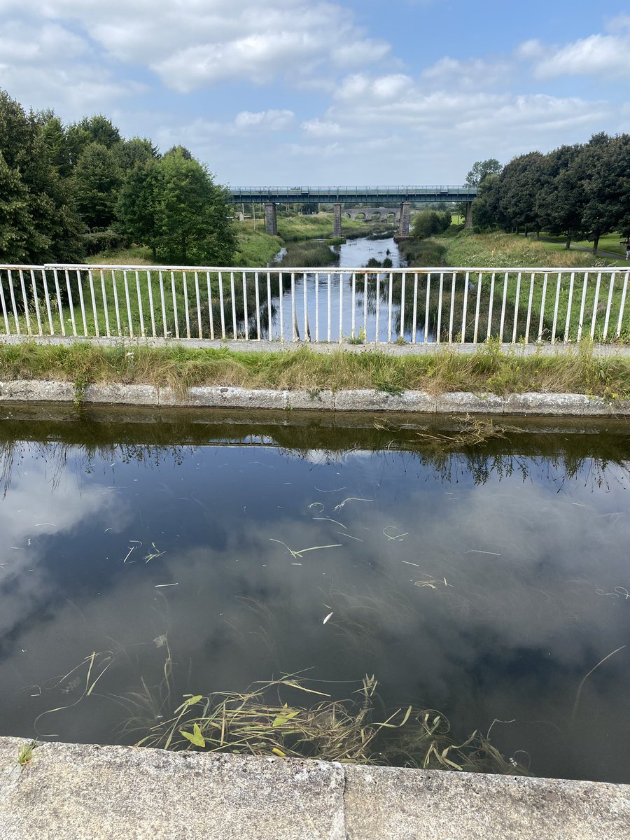 timbarry2's tweet image. Day 1 done , thanks to my tour guide getting me out of Dublin , never knew the Roman’s got to Ireland but I found an amphitheater and a viaduct on travels and amazingly the sun was shining 👌👌👌🚴‍♂️🚴‍♂️🚴‍♂️