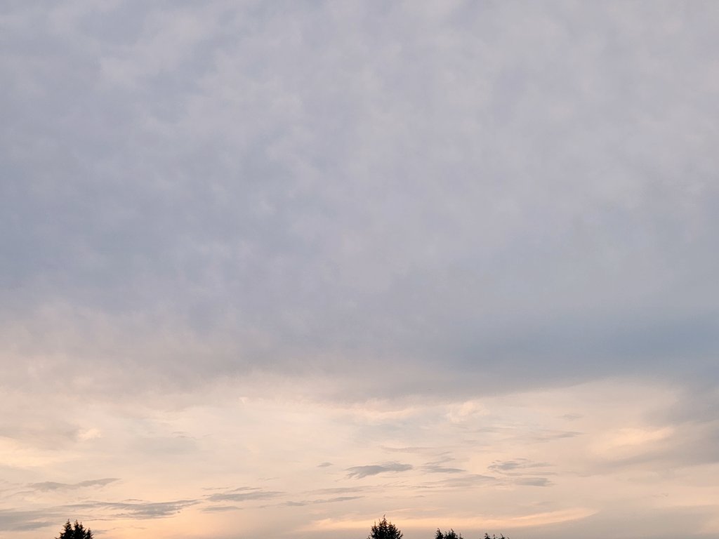maneiro0312's tweet image. おはよ ♡ 金曜日さん 😌✨4:44 ✨
