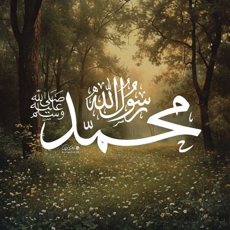 صلوا و سلموا على نبي الامة و شفيعها محمد صلى الله عليه وسلم تسليما كثيراً 🤍🌹🤍