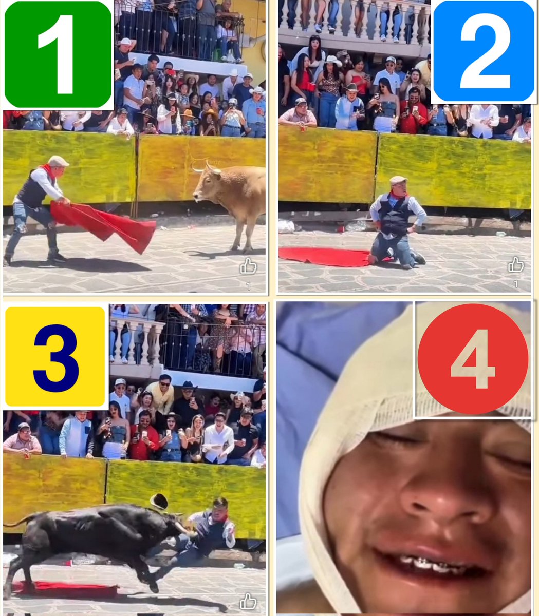 Cuatro escenas de la vida de un taurino (léase imbécil):

1-  Fastidia a un toro.
2- Se arrodilla, mira a su izquierda y haciéndose el chulo le provoca.
3- Por su derecha le embiste otro toro.
4- Termina en el hospital herido e igual de idiota, porque más ya era imposible.