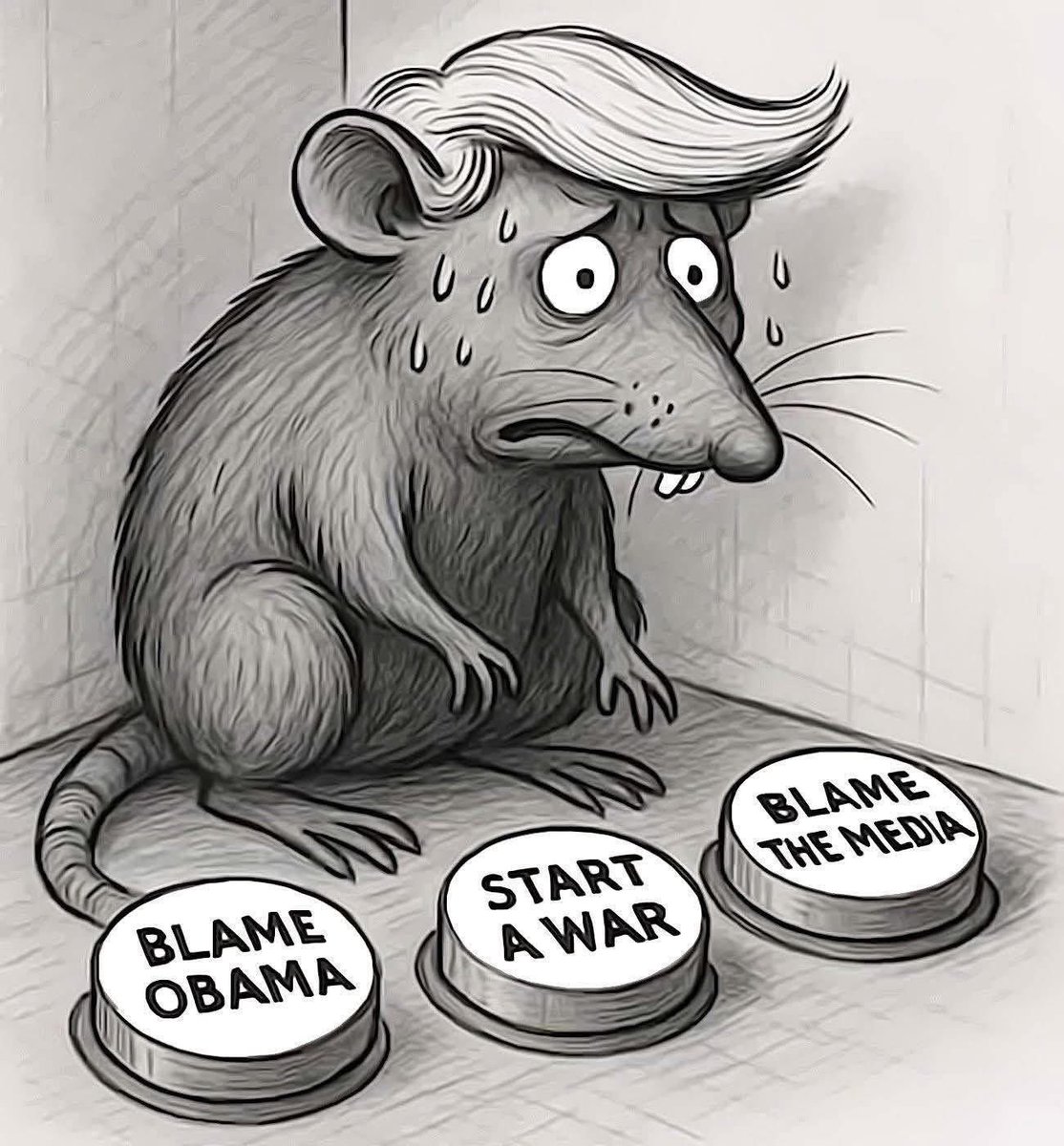 RadarResist's tweet image. Going after Obama is another Trump DISTRACTION!
The Epstein Files aren’t going away.
#TrumpEpsteinCoverup