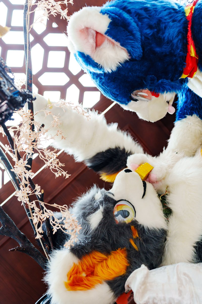 You still Hungry 🥞🥞🥞

🐺：<a href="/megual_0326/">海 口</a>
📸：<a href="/nadokakun/">小那Nadoka😸麥波Maipo 🔜未定</a>