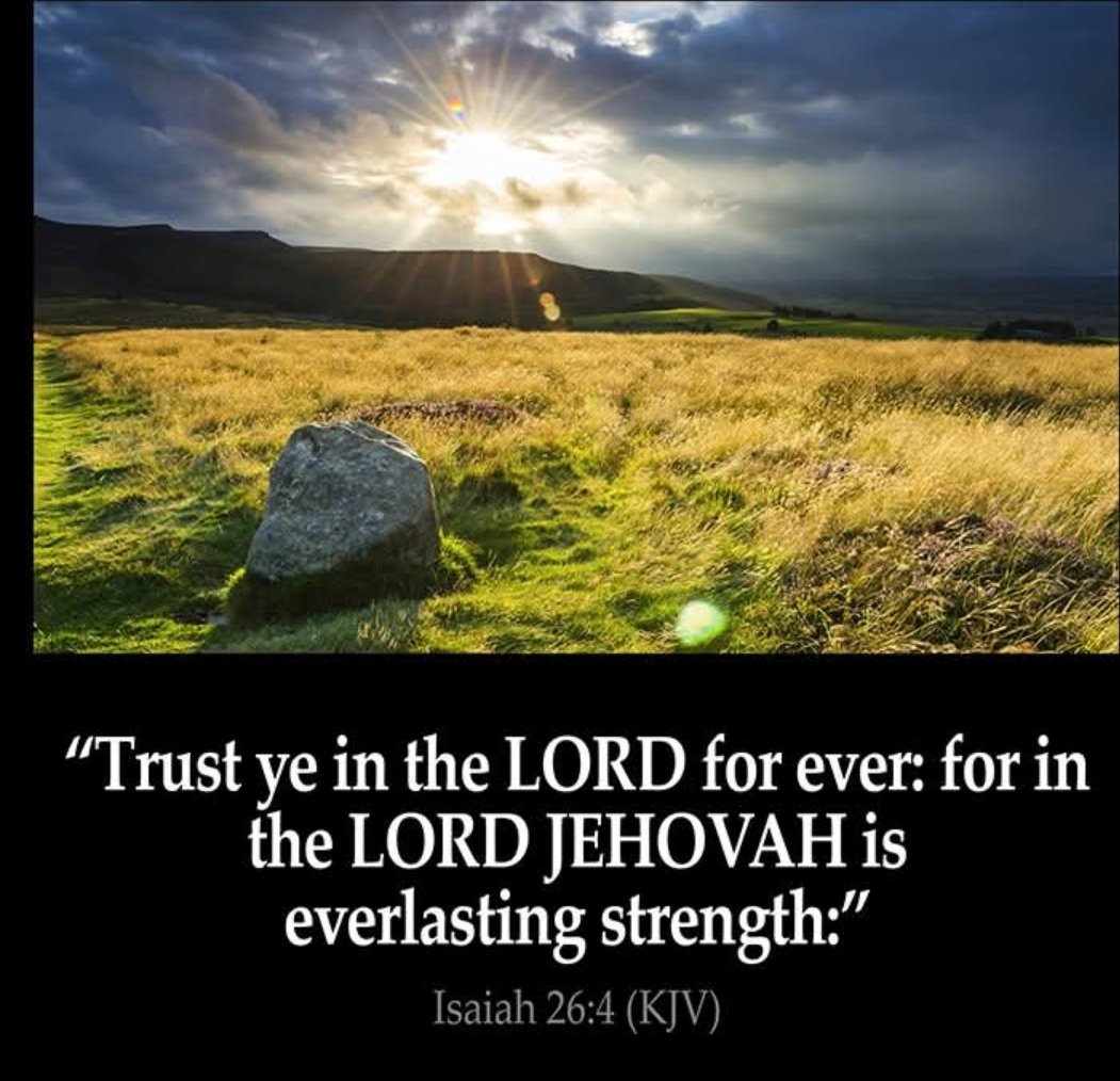 JoeDefranc2264's tweet image. 