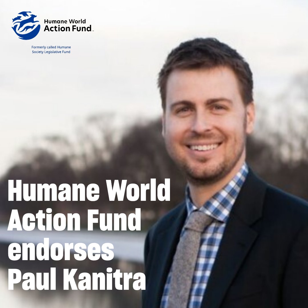 humaneactfund's tweet photo. Humane World Action Fund is pleased to endorse Paul Kanitra for #NJAssembly 🙌
In his first session in Assembly, this leader worked to crack down on animal abusers, protect animals used in laboratory testing and research, and more.
Make the humane choice and @VoteKanitra 🐾🗳️ https://t.co/k57fp0FR9h