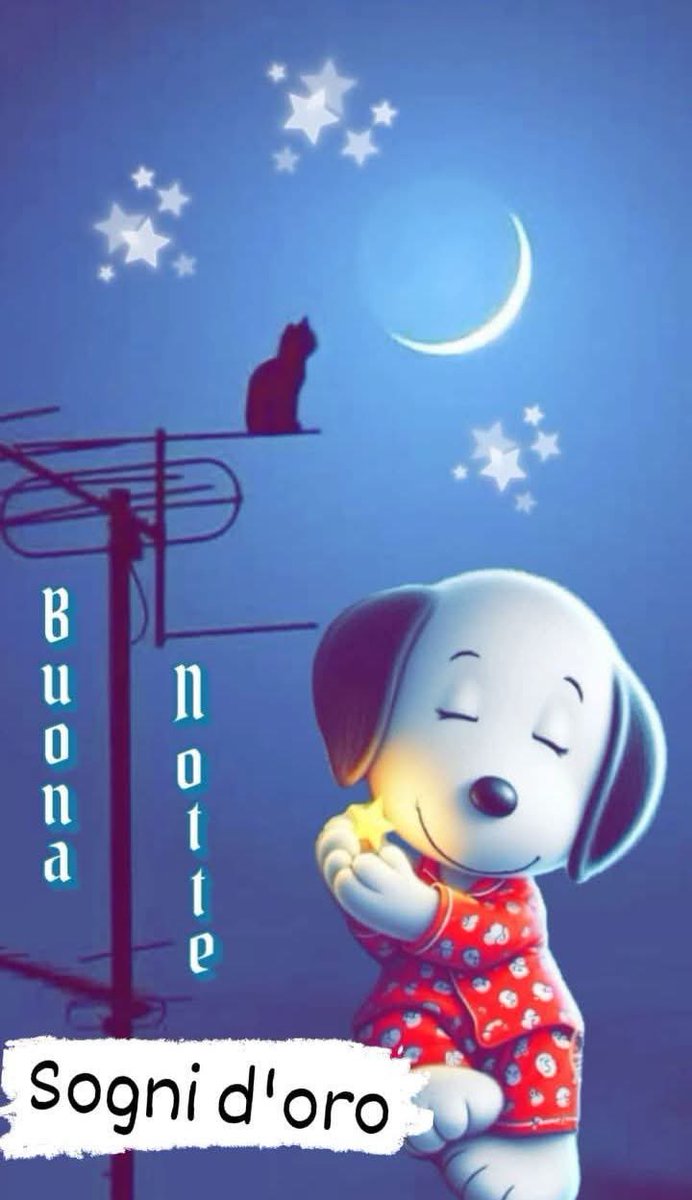 RITABIANCHi56 tweet media