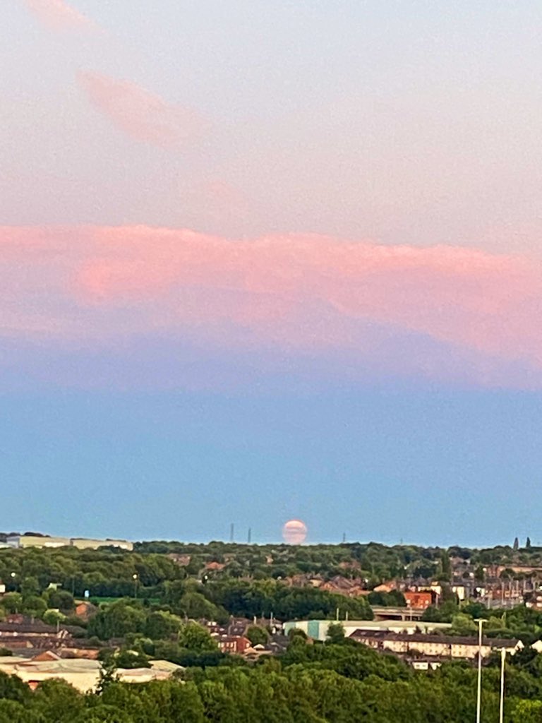 iLeedy1987's tweet image. Sunrise and moonrise both debunk flat earth .
Both full size as they rise.
Both the same size all day.
Both set full size.
I challenge any flerf to prove me wrong! I know you want to 😂
☀️🌕🌍 pics by me!
#FlatEarthIsStupid #Globe