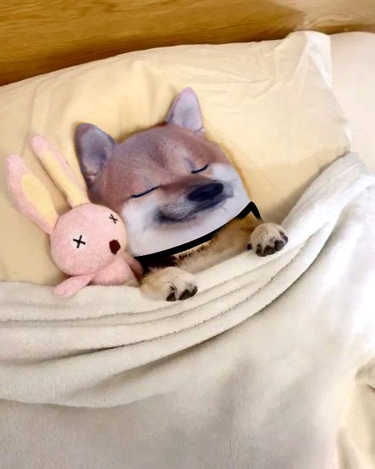 AliceN33dCOOKI3's tweet image. Good night my friends.
Feel hugged and loved!
You are awesome!