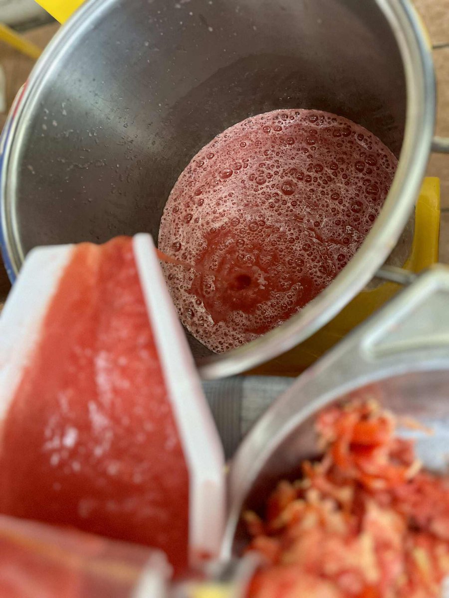 lola_seoska's tweet image. Mašina isprobana i mogu vam reći da smo zadovoljni.  🍅🍅🍅