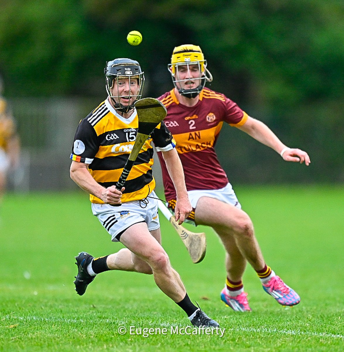 The Clare Champion tweet media