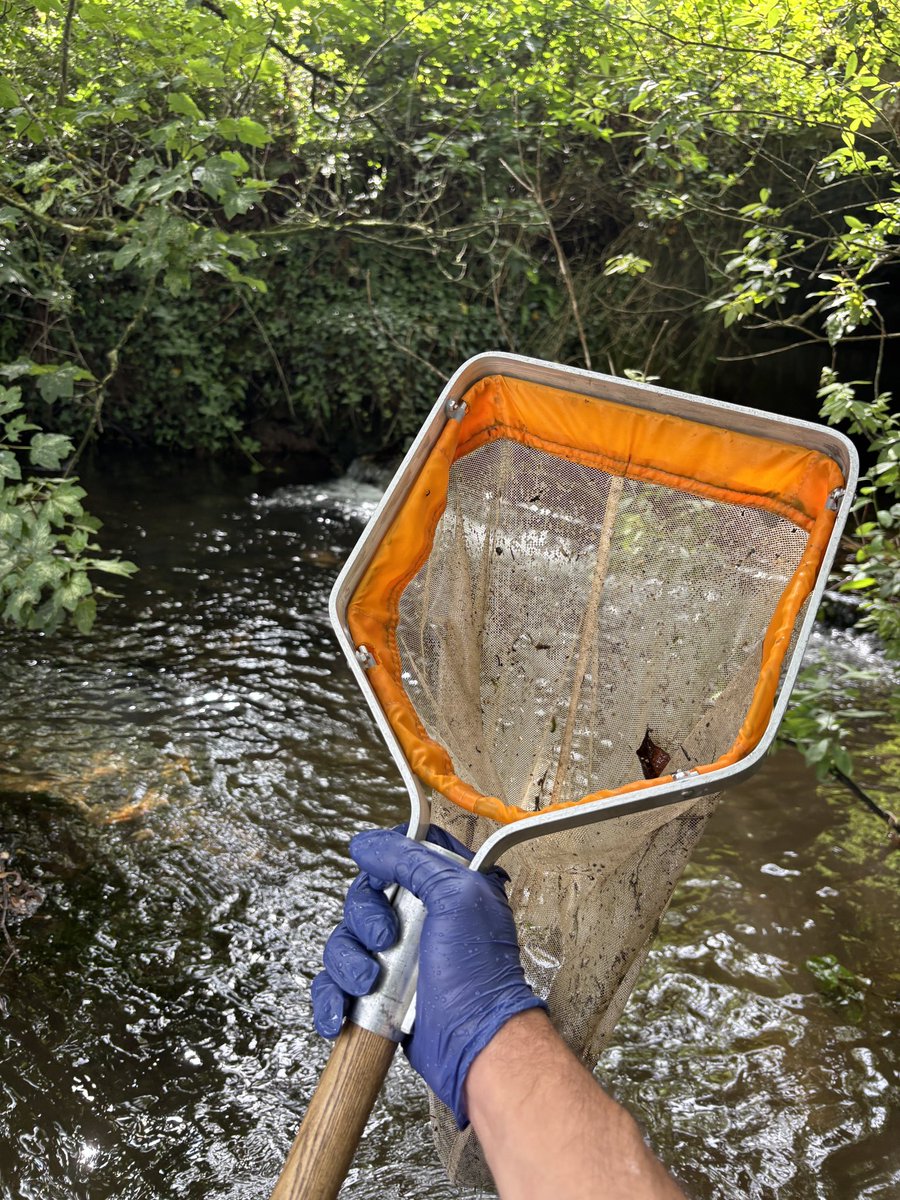 Another week of sampling wraps up today (filtering awaits tomorrow morning 🥲). We have now completed 92 surveys since the start of the project!

#freshwater #fieldwork #eDNA