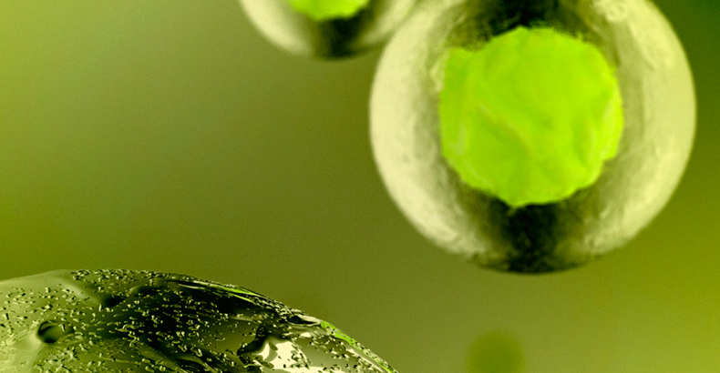bioethicsdotcom's tweet image. Florida Is Now a Haven for Unproven Stem-Cell Treatments - bioethics.com/archives/98915