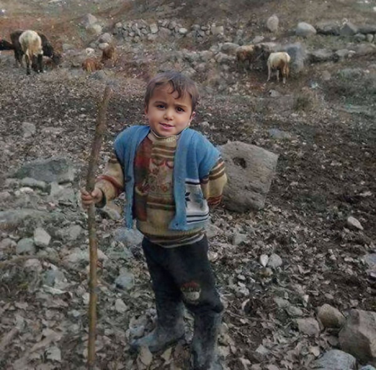 muhendssbeyy's tweet photo. en sevdiğim pastanın bisküvili pasta olduğunu söylediğimde hissettiğim https://t.co/Q5e9FsEF7O