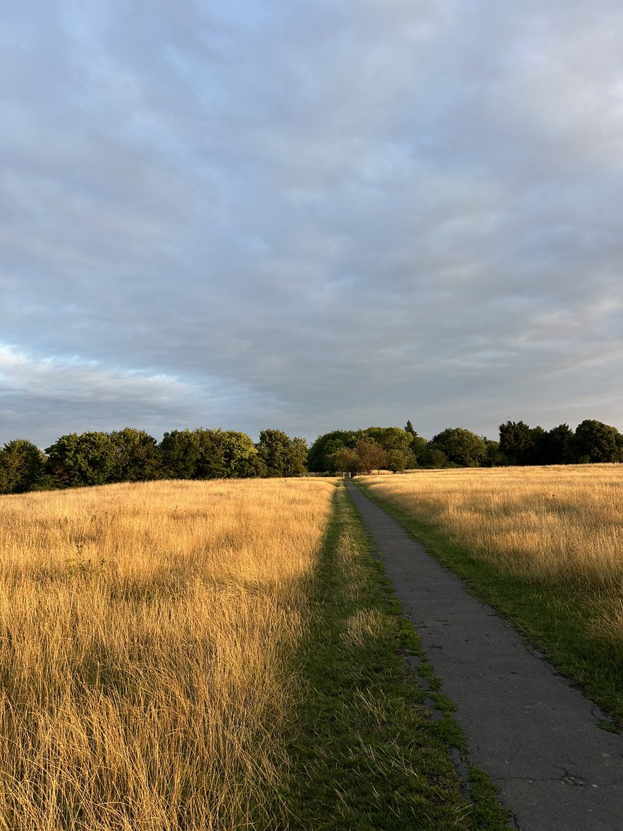 AndresRuoj's tweet image. Hoy en el camino que lleva de Cambridge a Grantchester y de vuelta.