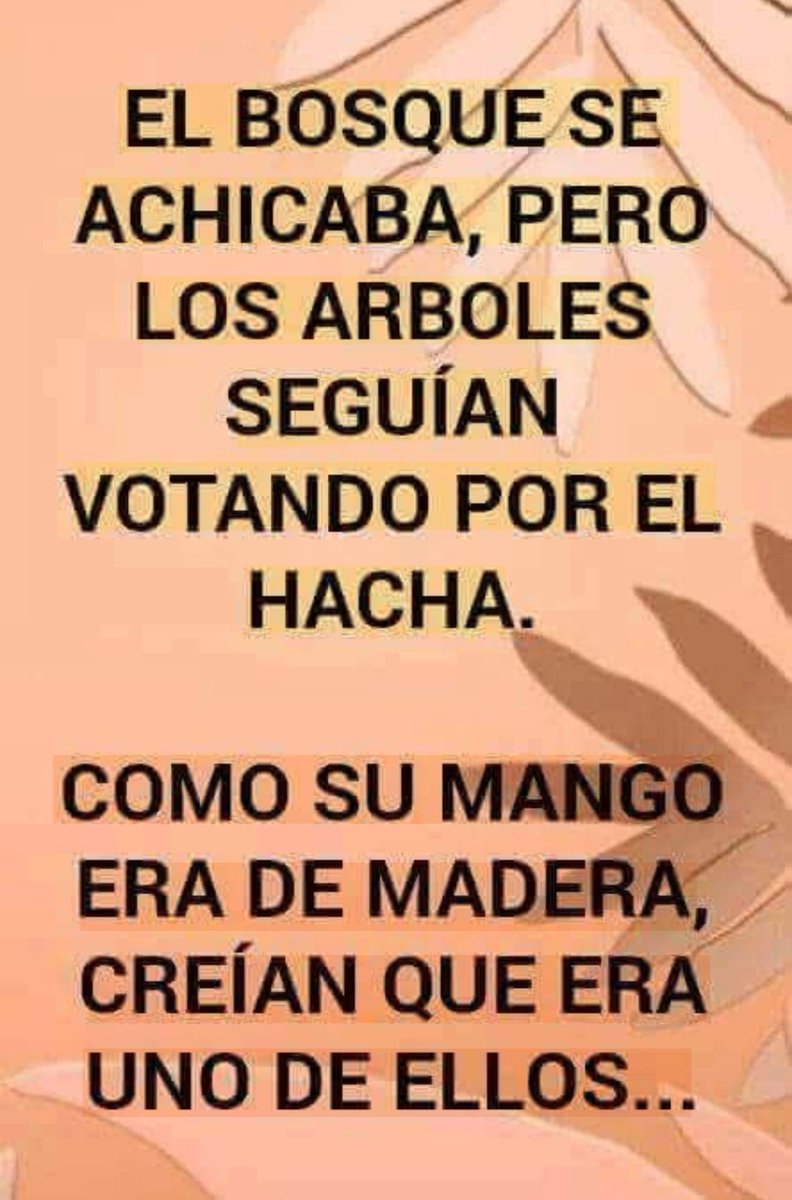 Alfonso Murga tweet media