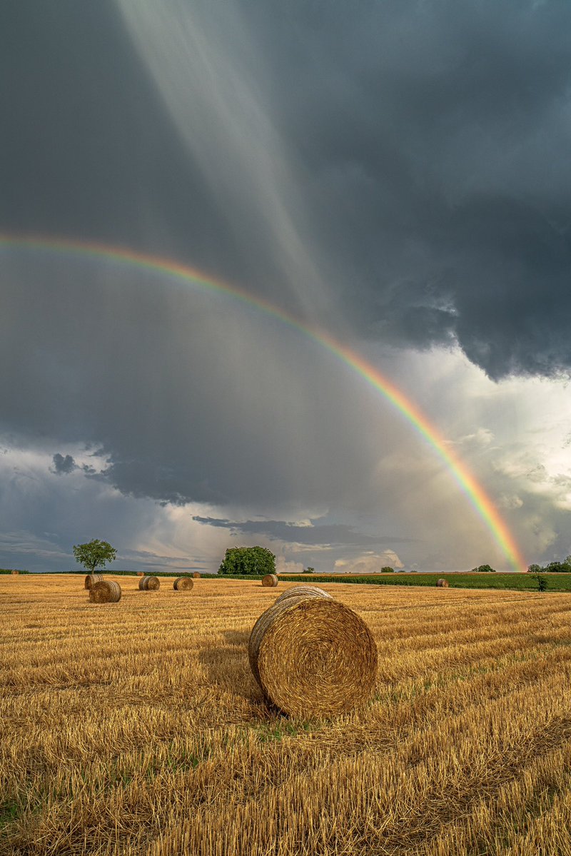 CedricSchell's tweet image. Ce soir, j’ai eu la chance de photographier un merveilleux contraste du côté de Gœrsdorf en Alsace.