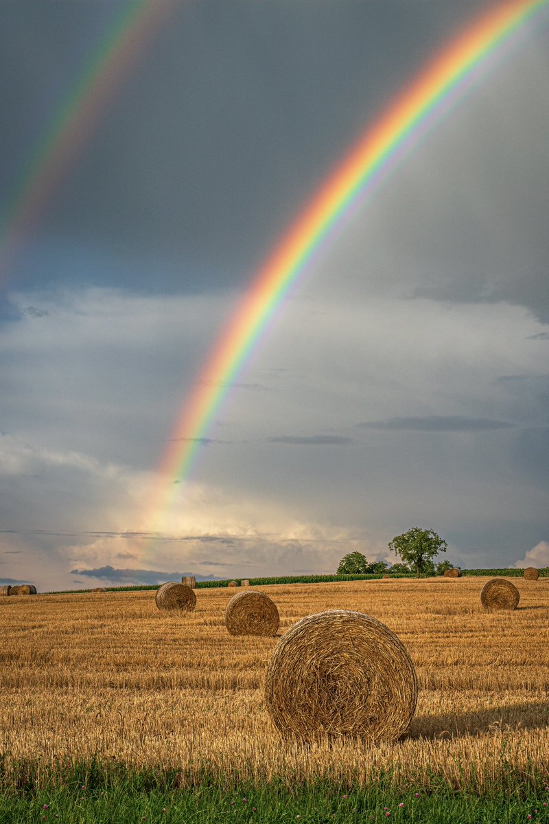 CedricSchell's tweet image. Ce soir, j’ai eu la chance de photographier un merveilleux contraste du côté de Gœrsdorf en Alsace.