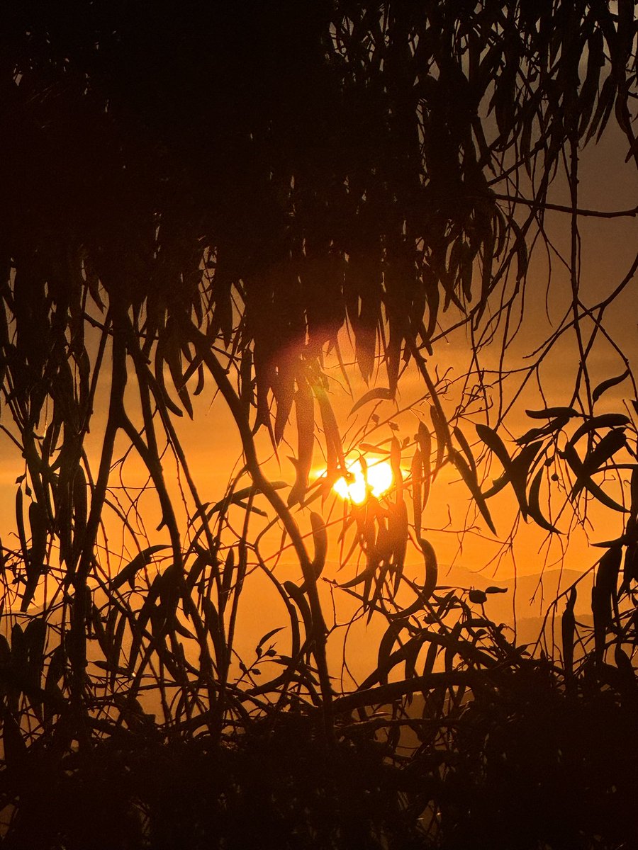 ReneTombarel's tweet image. L’heure dorée organisée ce soir sur le canal de la siagne par l’office du tourisme du cannet. L’occasion de faire un coucher de soleil agrémenté d’un cocktail dans une belle ambiance @lecannet.tourisme #lecannet #CotedAzurFrance