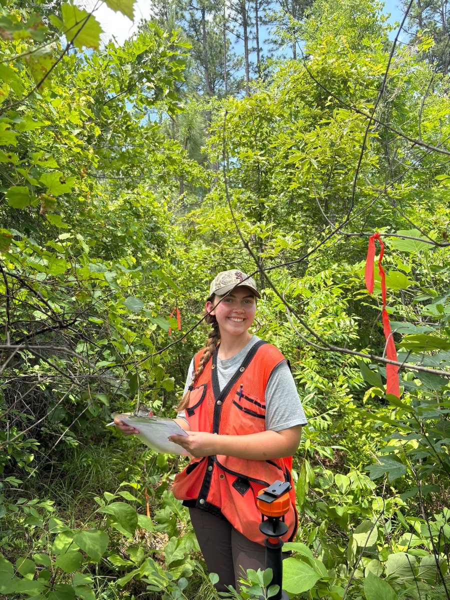 J. Frank Barefield Jr. College of Arts & Sciences tweet media