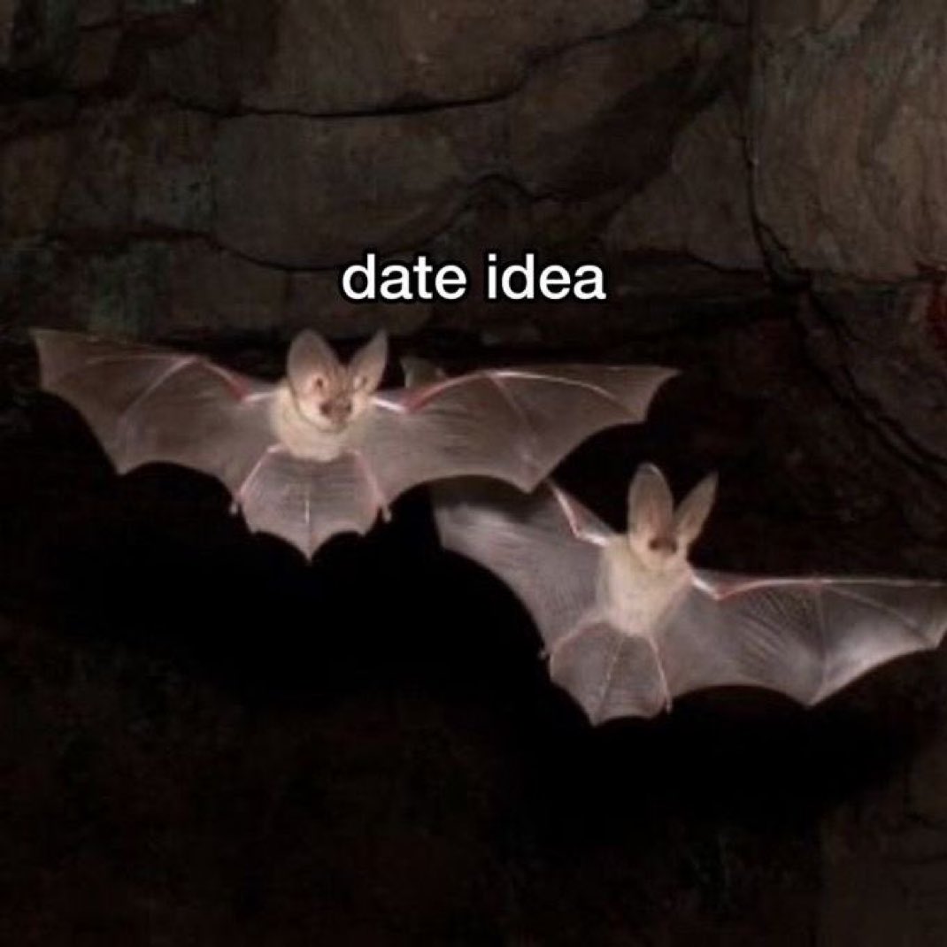 #ИБД (@the_smolny) on Twitter photo 