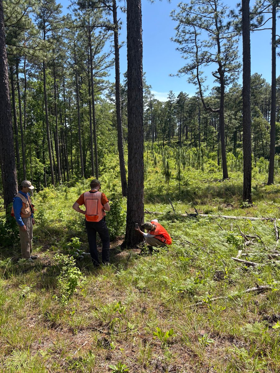 J. Frank Barefield Jr. College of Arts & Sciences tweet media