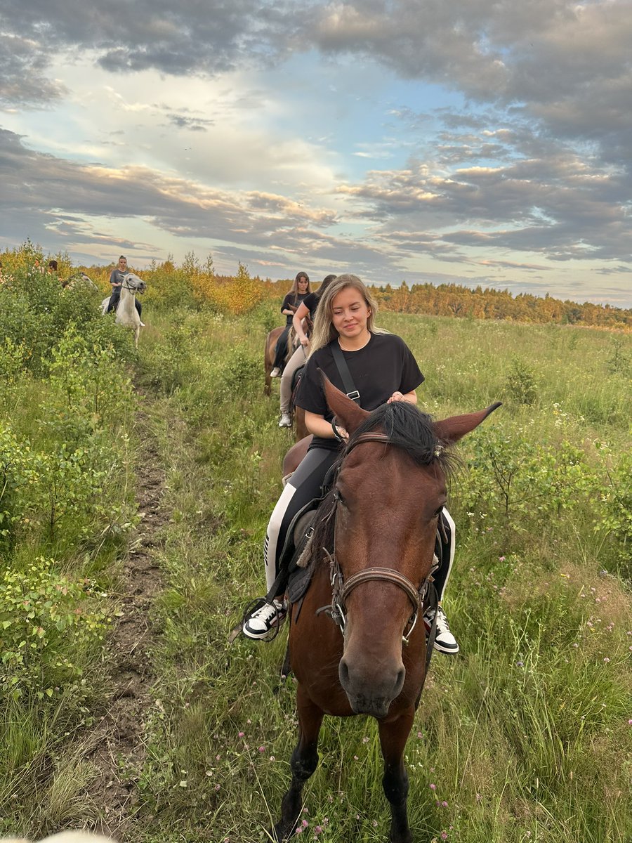 RoxiDevil0001's tweet image. Yo gm gm 👀
I named this horse Wally @RWAlliance___ 🫂 $RWA
Since I don't have the money for a Mustang, I'll be riding regular horses😂