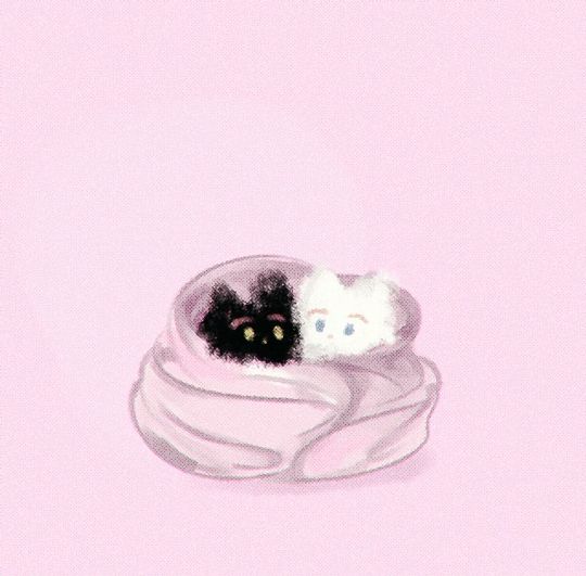 only cute things (@cutedreamvibes) on Twitter photo 
