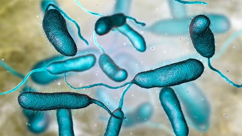 MedscapeES's tweet image. El aumento de la temperatura de la superficie del mar permite que estas bacterias de origen natural prosperen en las aguas costeras, lo que supone un creciente desafío de salud pública en todo el continente.
ms.spr.ly/6016sExOj